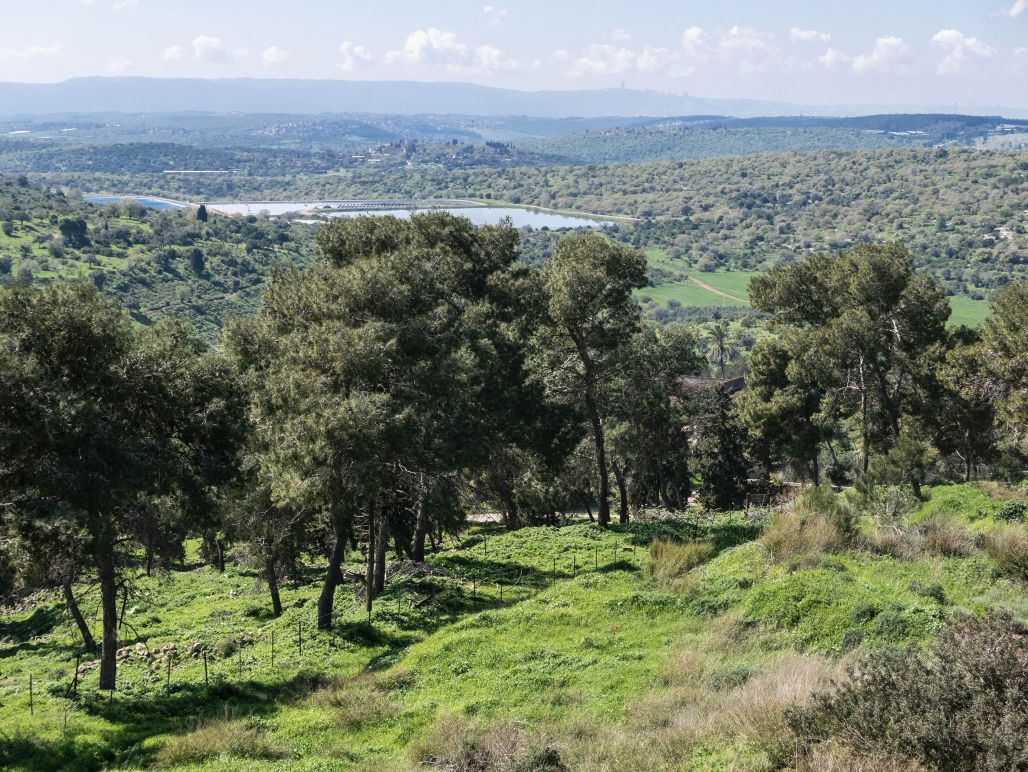 Im Hintergrund der See Genezareth